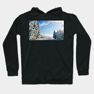 Bright clear winter day Hoodie